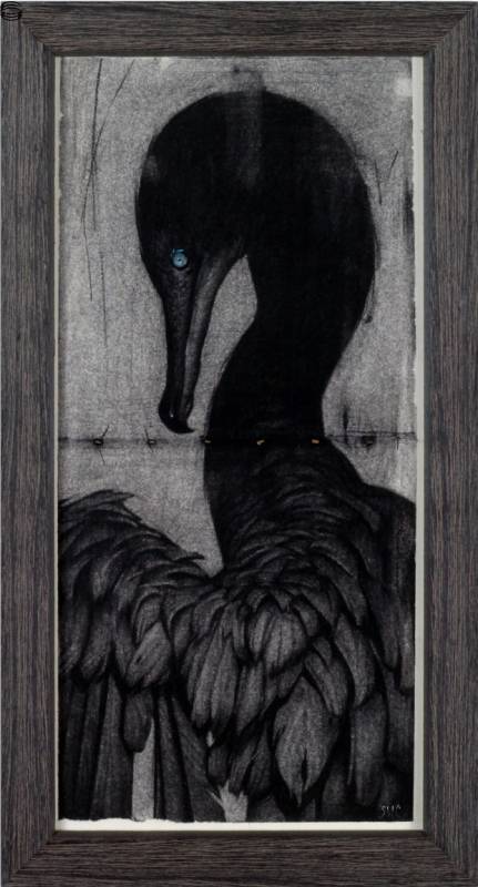 Sam Wolfe Connelly - Cormorant