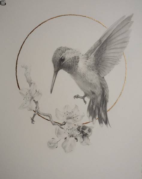 Vanessa Foley - Costa's Hummingbird & Cherry Blossom I - First Edition