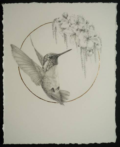 Vanessa Foley - Costa's Hummingbird & Cherry Blossom II - First Edition