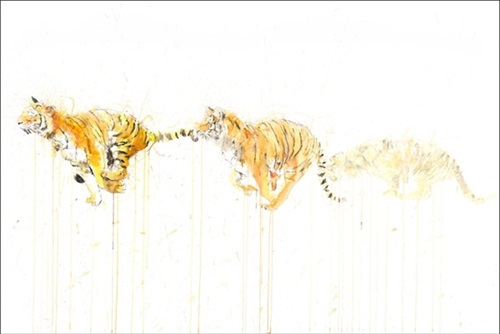 Dave White - Tiger - Movement - First Edition