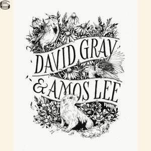 David Gray & Amos Lee