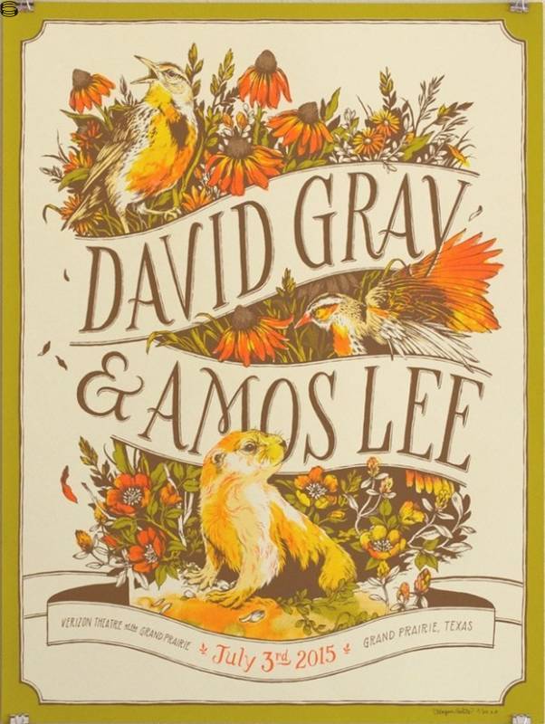 Teagan White - David Gray & Amos Lee Grand Prairie - First Edition