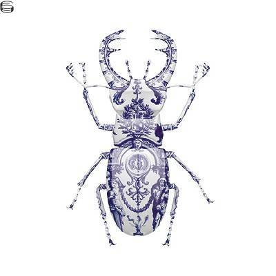 Delft Stag Beetle 11