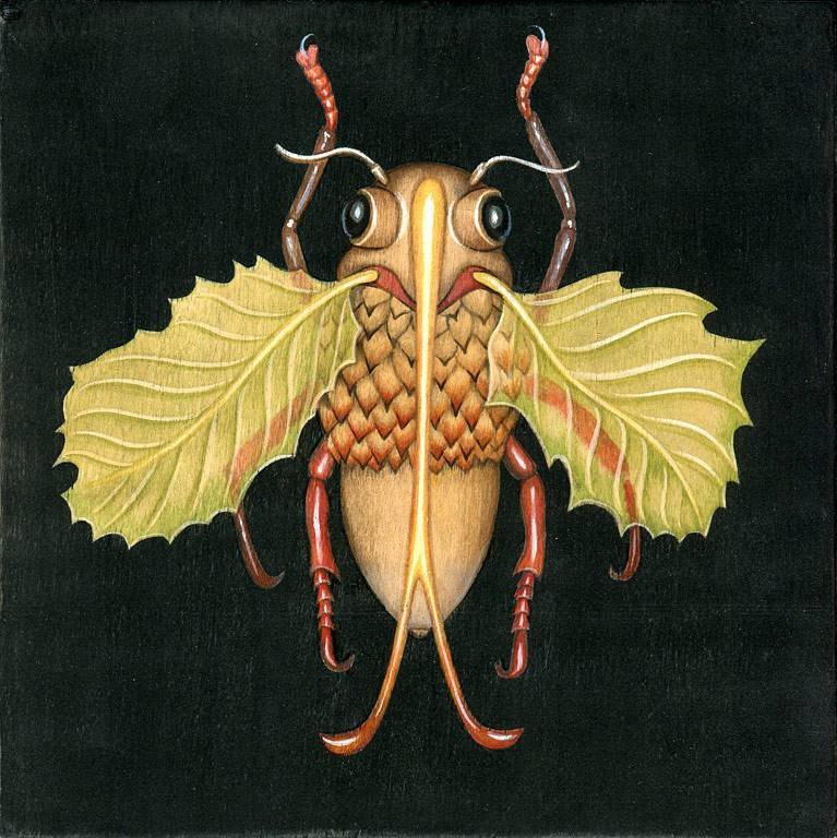 Acorn Treehopper