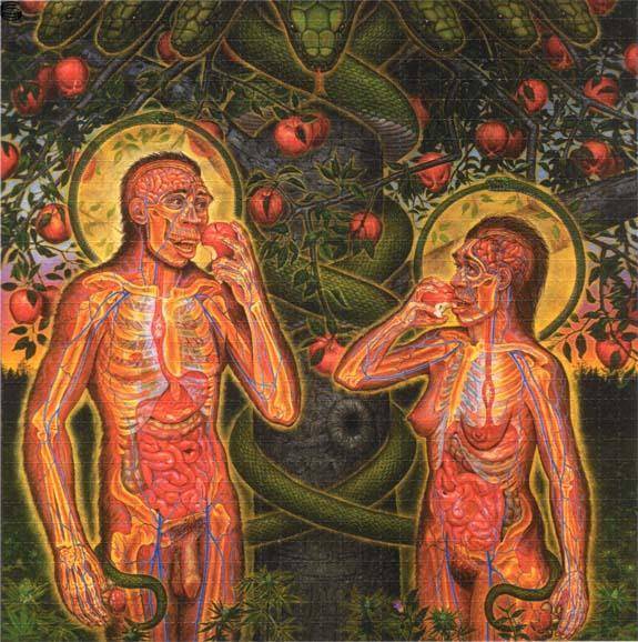 Adam and Eve Blotter 03