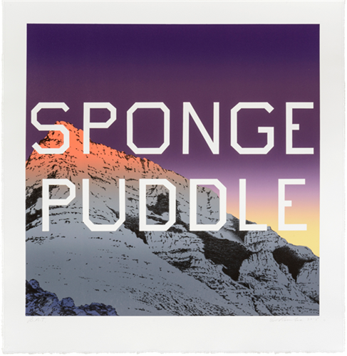 Sponge Puddle