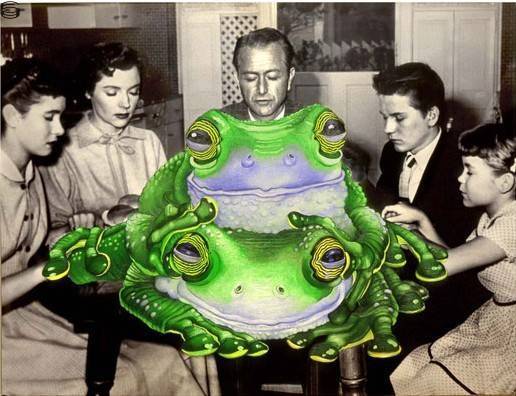 Father Knows Frogs (50s spin-off) 02