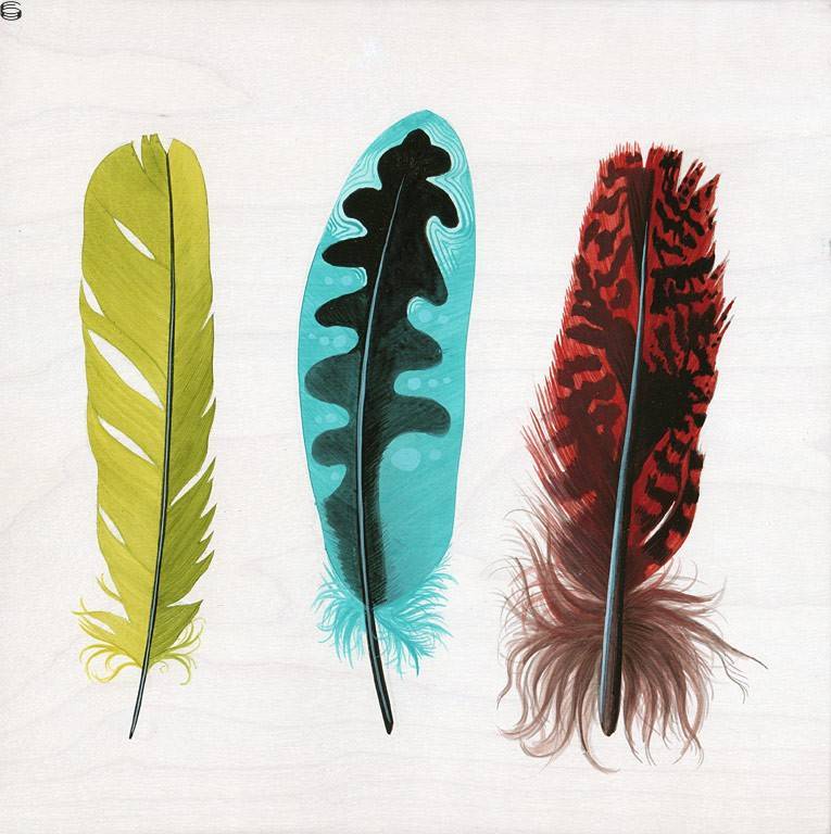 Feathers (red and blue)