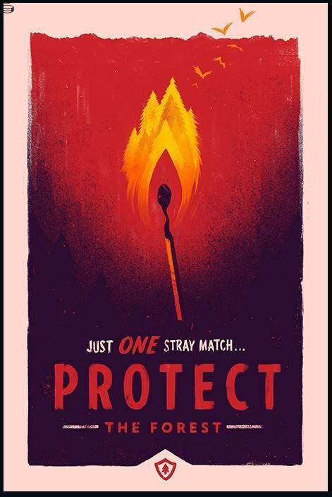 Firewatch Protect