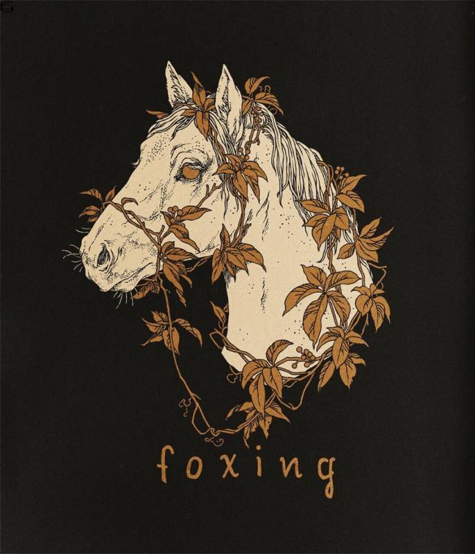 Foxing 18