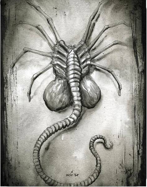 Alien Sketch Facehugger by N.C. Winters | DogStreets