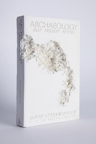 Daniel Arsham - Fictional Nonfiction: Archaeology