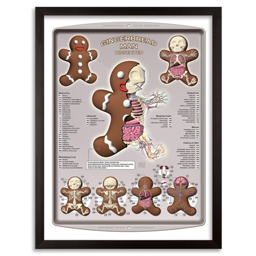 Gingerbread Man Dissected
