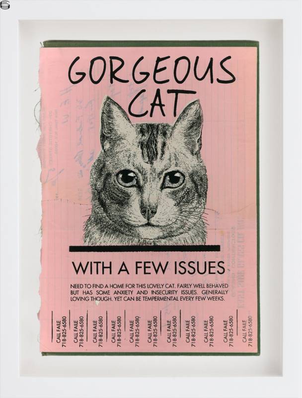 Gorgeous Cat Book Cover