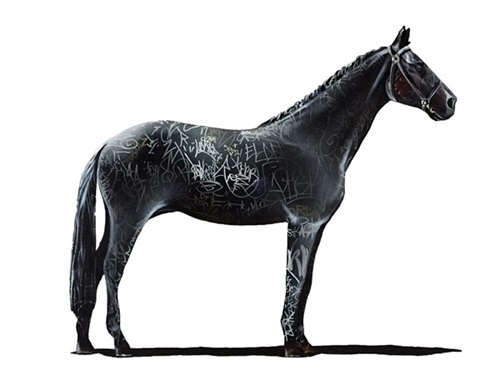 Shai Dahan - Graff Equestrian I