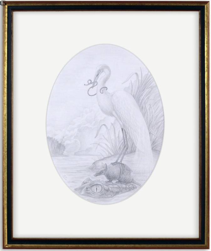 Jonathan Burton - Great Egret