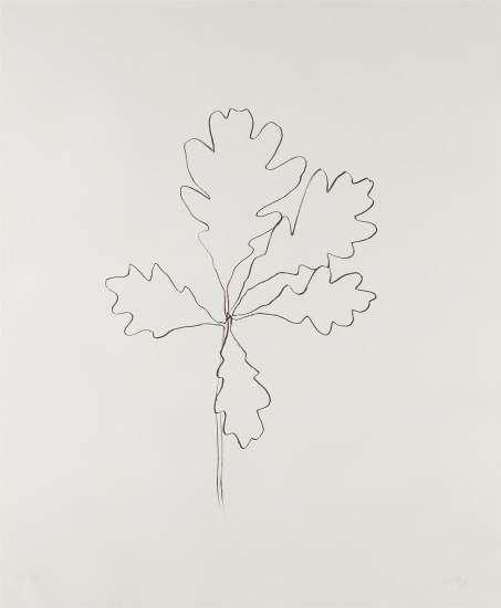 Oak I, from Series of Oak Leaves (G 1564; Axsom 259)