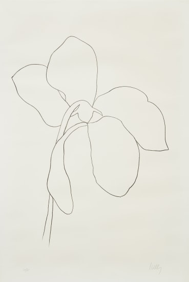 Cyclamen III, from Suite of Plant Lithographs (A. 38)