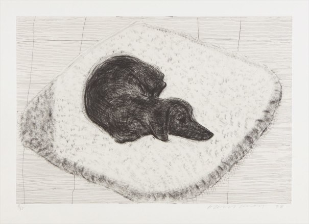 Dog Etching No. 12, from Dog Wall