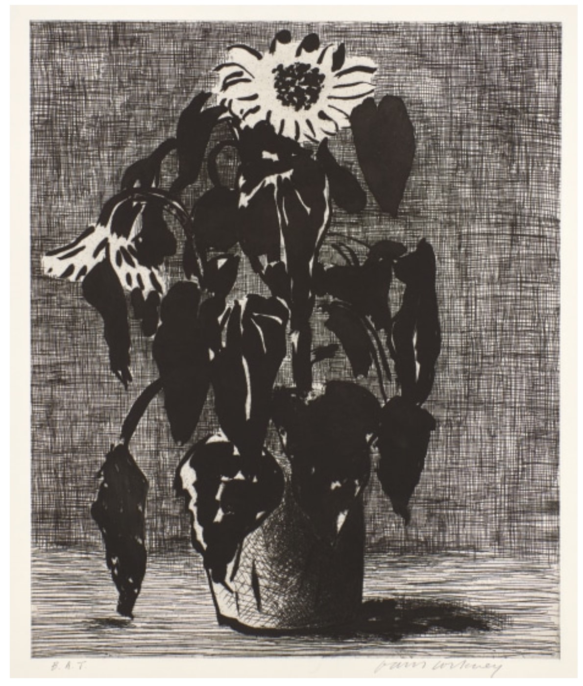 Sunflower I (MCA Tokyo. 347)