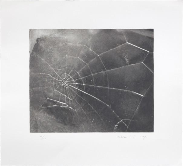 Spiderweb (R. p. 210)