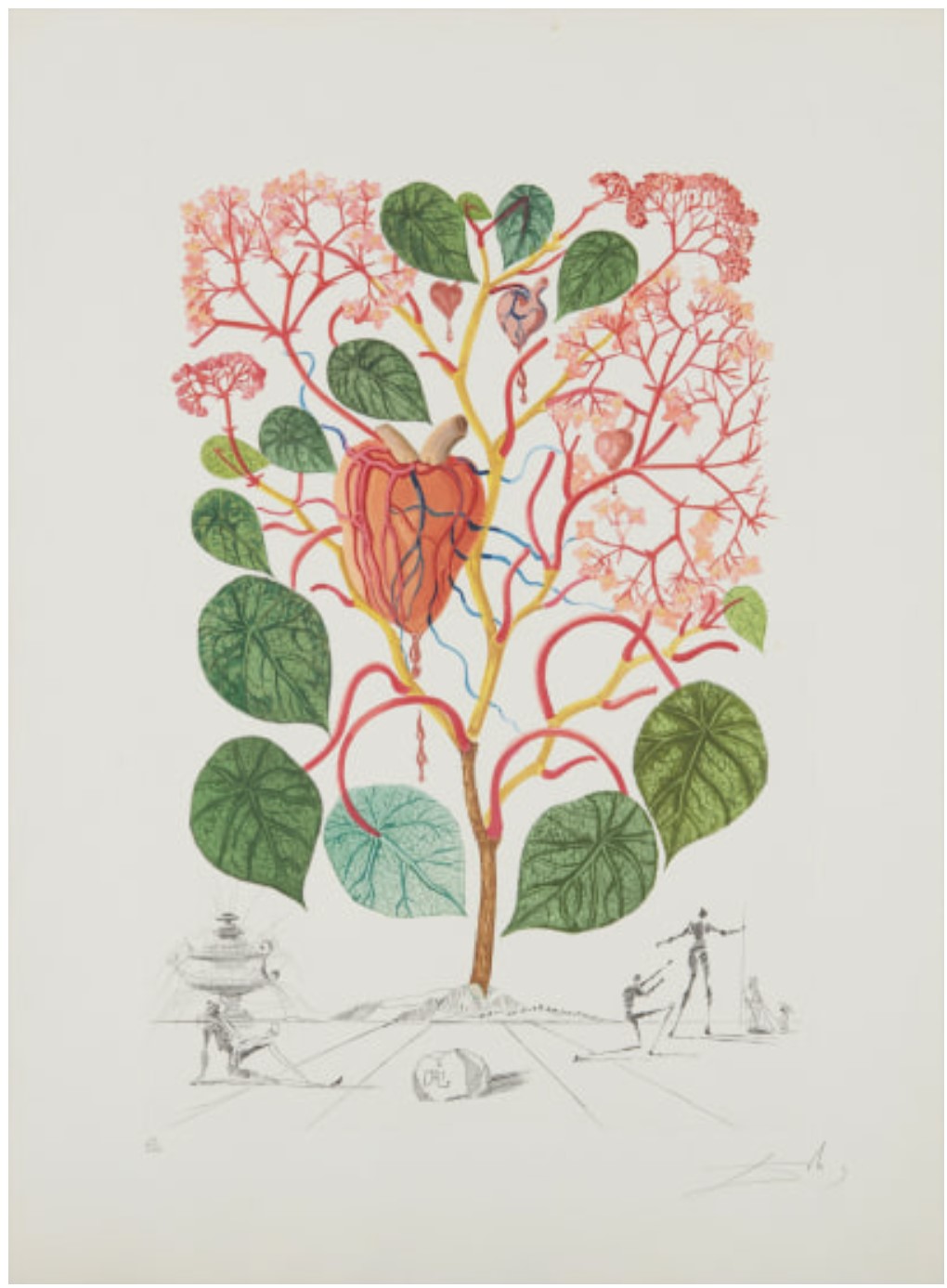 Begonia (Anacardium recordans), from Flordali (Flora Dalinae)
