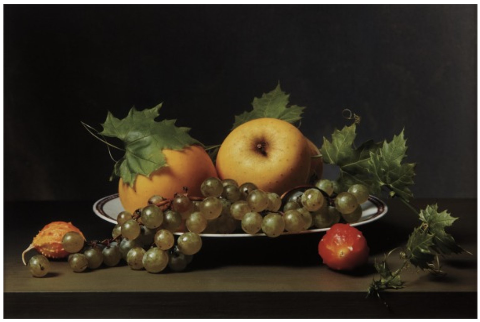 Early American, Still Life with Balsam Apples