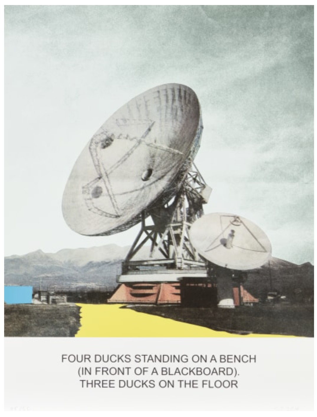 The News: Four Ducks Standing on a Bench...