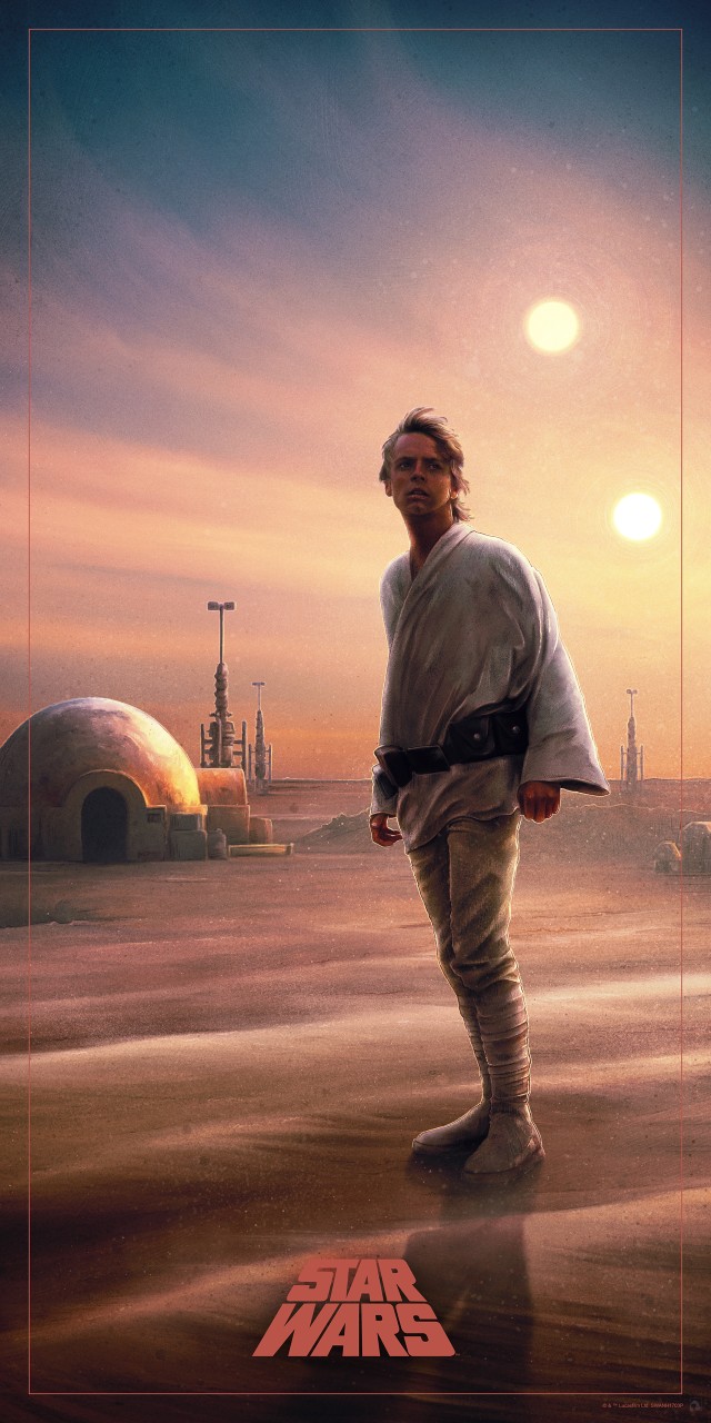 Kevin Wilson - Star Wars Trilogy - Luke Timed