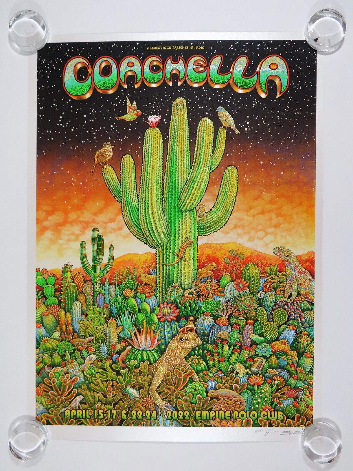 Coachella Indio 22 by Emek DogStreets