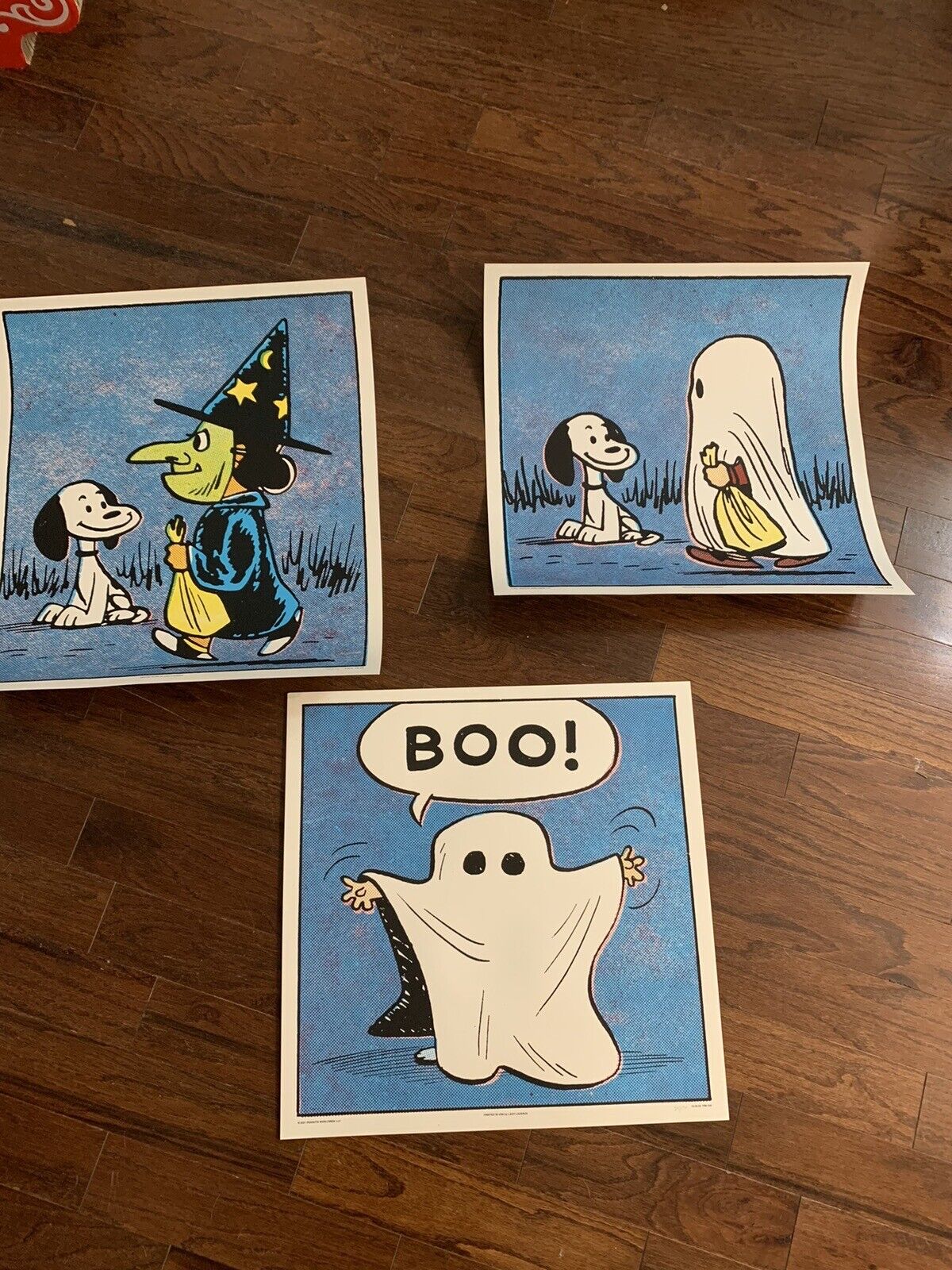 Peanuts Halloween Set