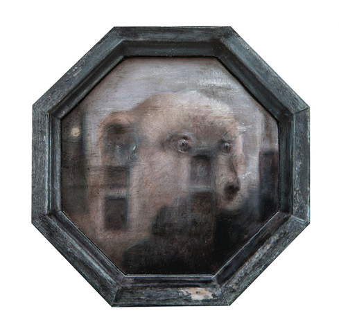 Meercat (Octagonal Window)