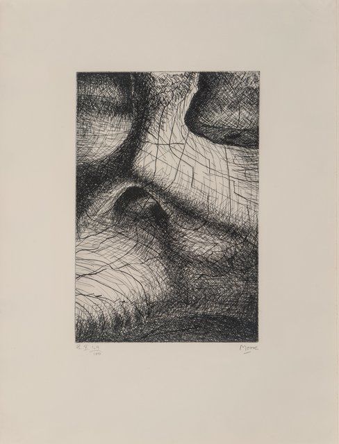 Elephant Skull Pl. X (Cramer, 131)