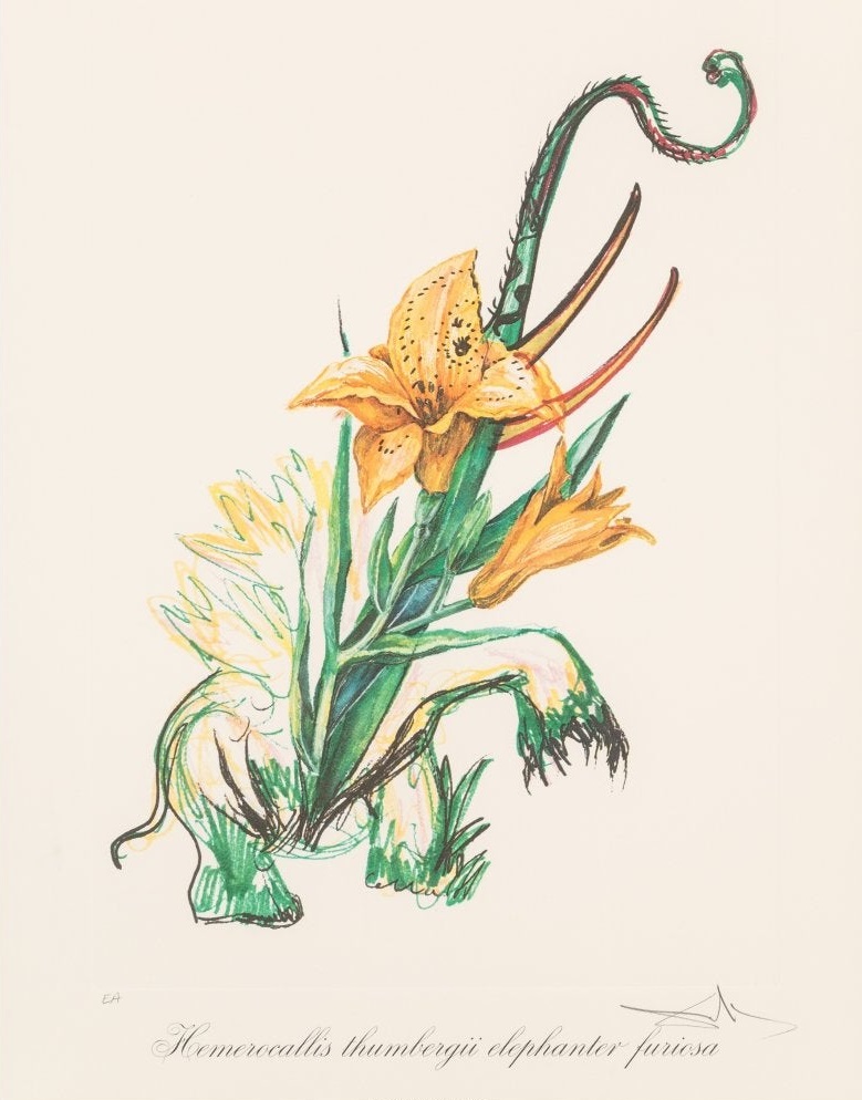 Salvador Dali - Lily + Elephant (Surrealist Flowers)