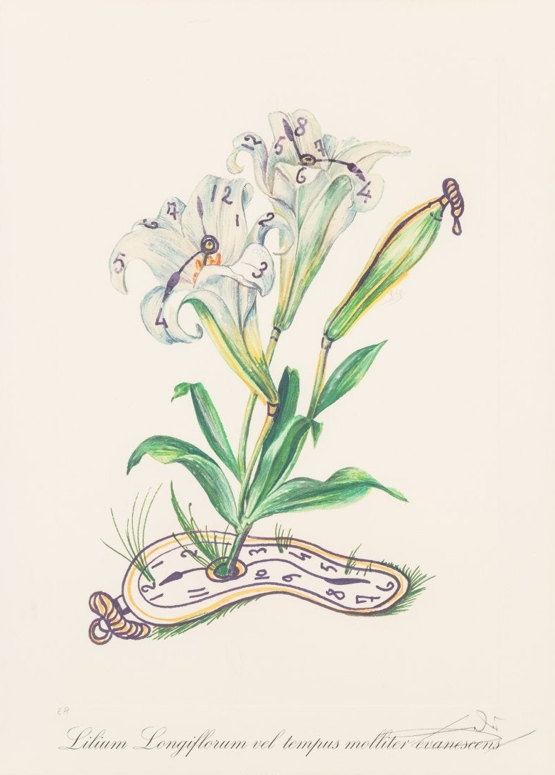 Salvador Dali - Lilies + Clock Face (Surrealist Flowers)