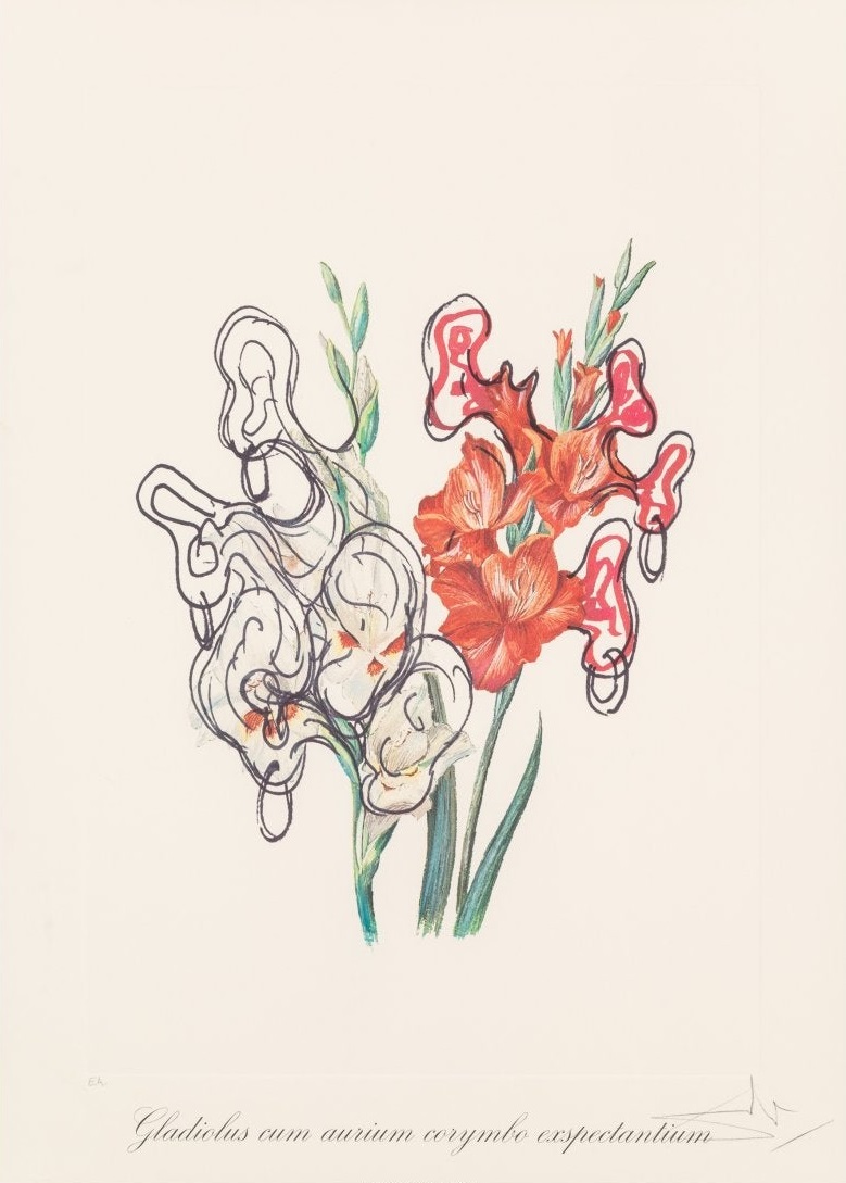 Salvador Dali - Gladiolus + Ears (Surrealist Flowers)