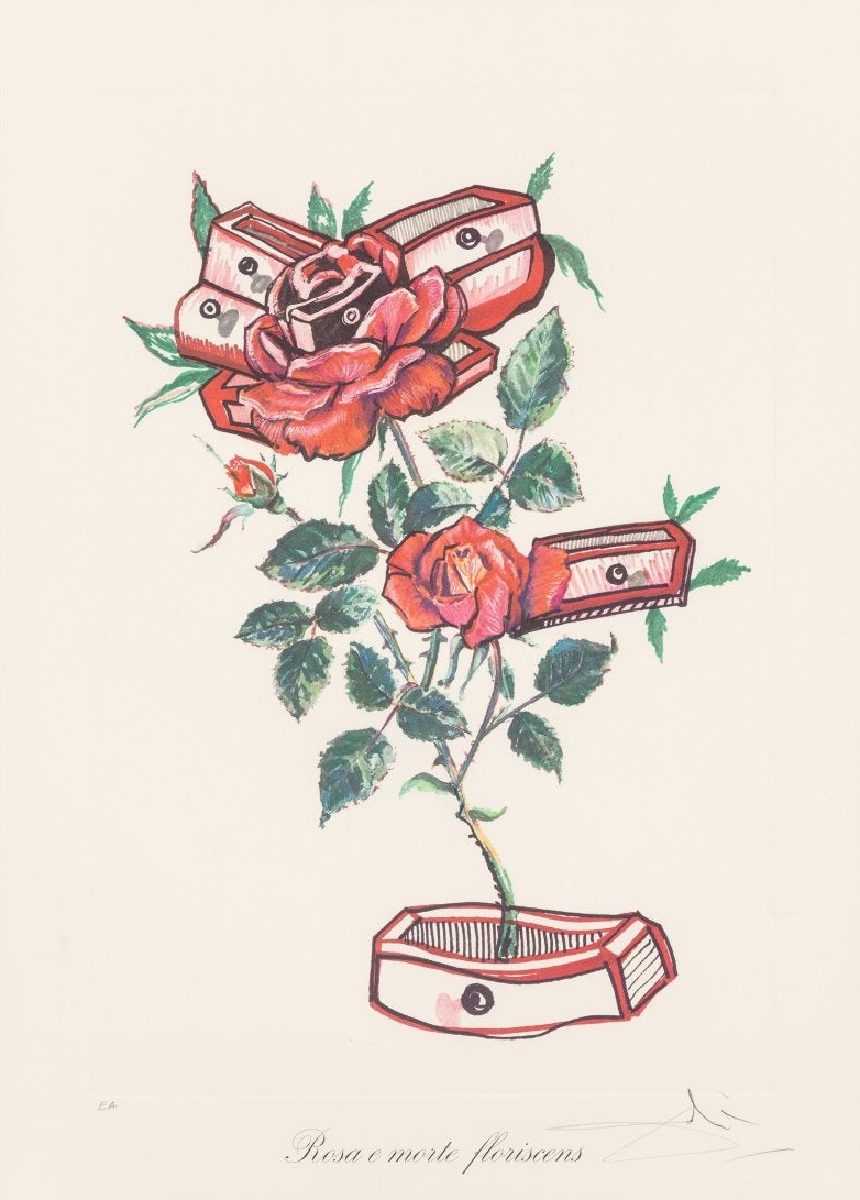 Salvador Dali - Rose + Drawers (Surrealist Flowers)