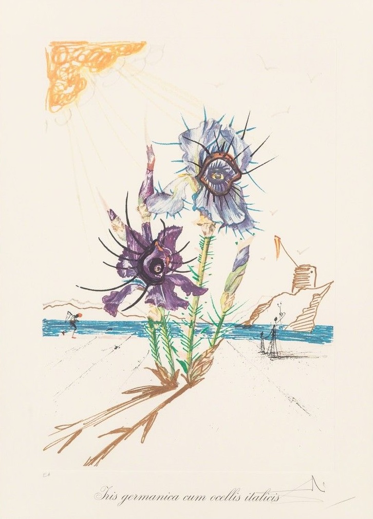 Salvador Dali - Iris + Eyes (Surrealist Flowers)