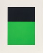 Black/Green (Gemini, 28.13.)