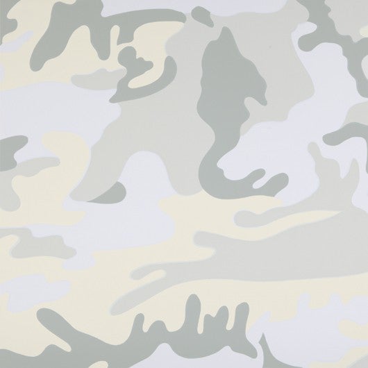 IIB.406-TP51.84: Camouflage 87