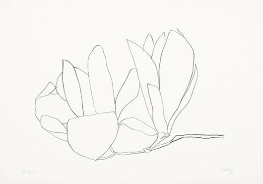 Suite of Plants: Magnolia (Axsom 56)