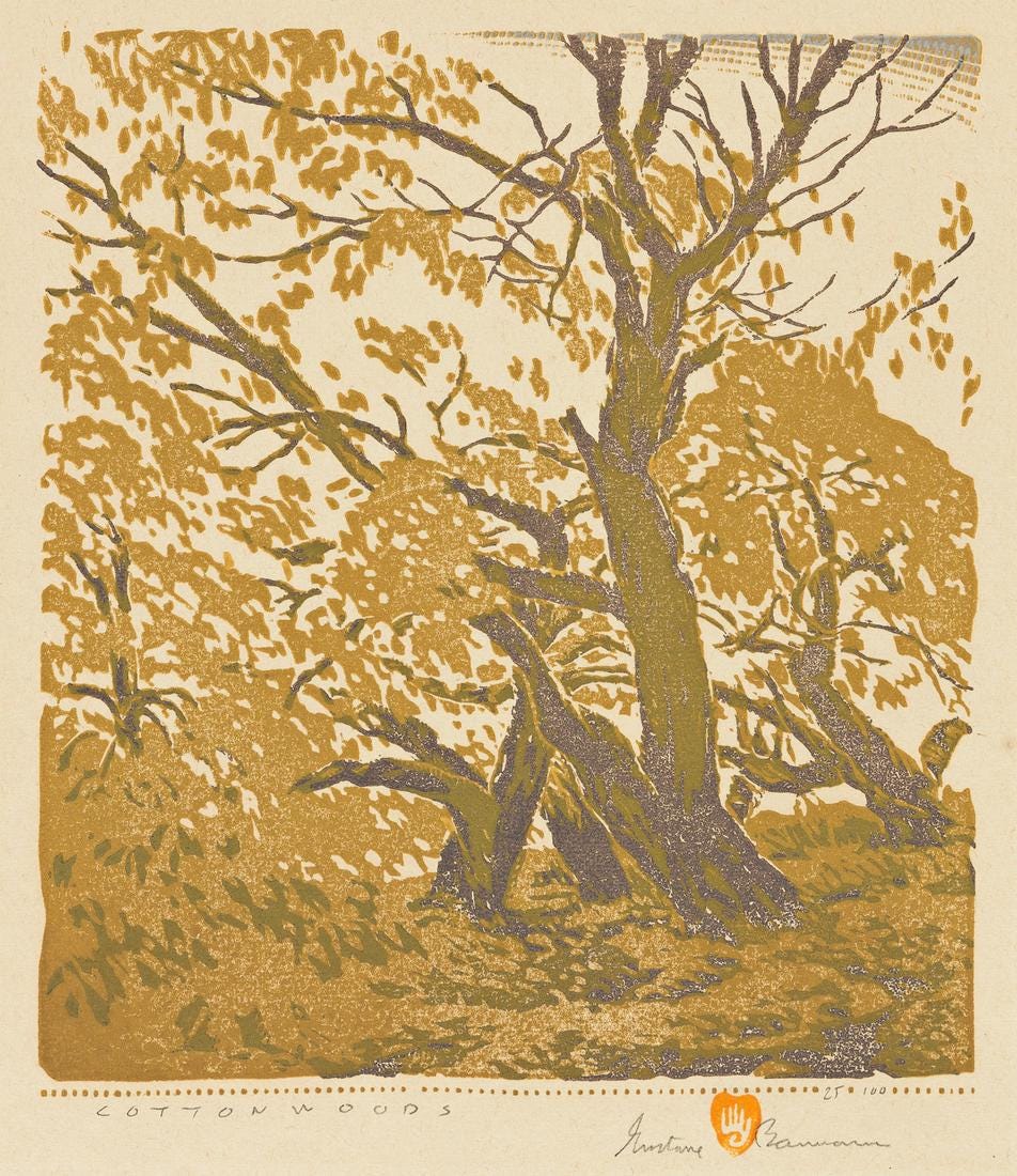 Cottonwoods (Chamberlain 119.2)
