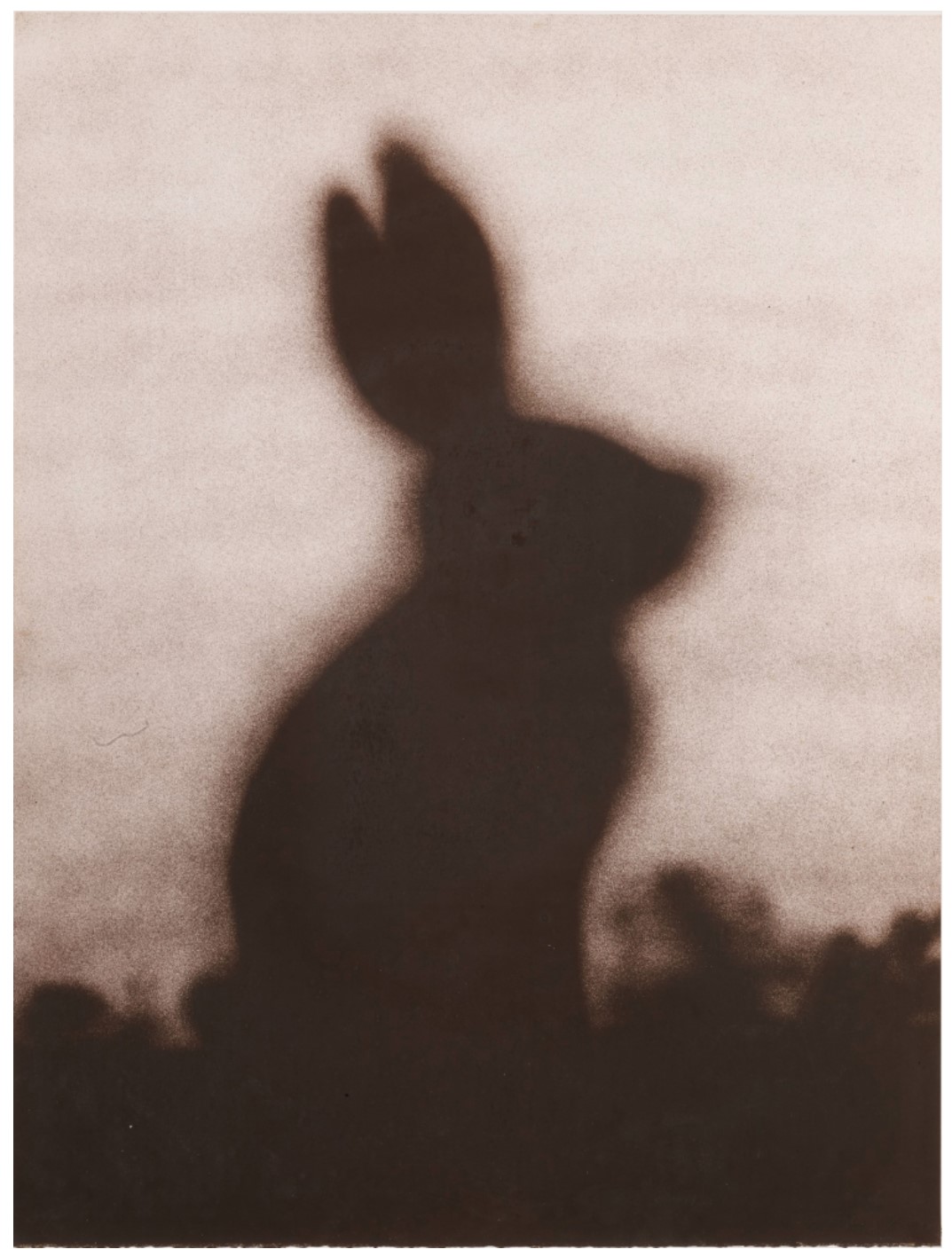 Rabbit (Engberg 142)