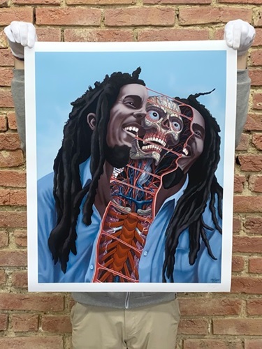 Dissection Of Bob Marley