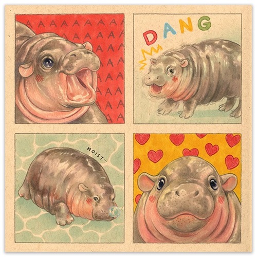 Moo Deng