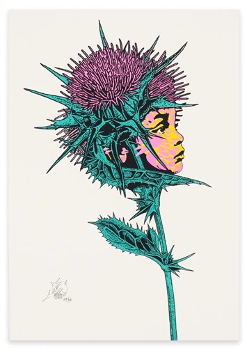 Espinas De Cardo Mariana