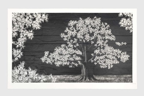 Adventice, Montpellier, France, 2025