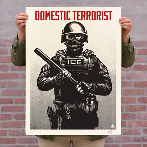 Projection MIrror: Domestic Terrorist