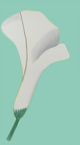 White Lilies 5