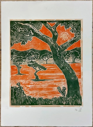 Sun Over Trees